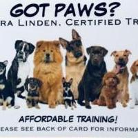 Online garage sale of Garage Sale Showcase Member DogLoverBarb, featuring used items for sale in Boone County IN