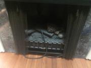 350 thousand BTU Gas Fireplace logs for sale in Broomall PA