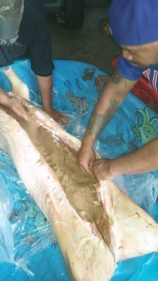 Catering for sale in Woodstock IL