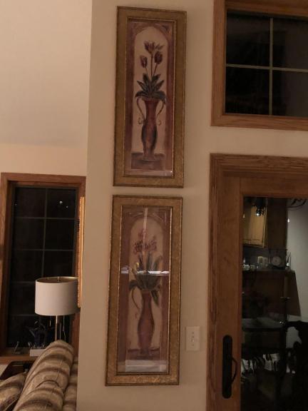 Two Gold Framed Vases for sale in Eagan MN