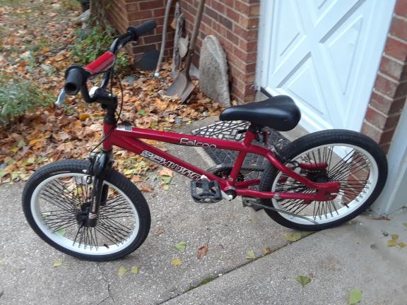 20" bike Schwinn Falcon for sale in Holland MI