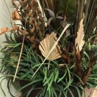 Online garage sale of Garage Sale Showcase Member Sass1953, featuring used items for sale in Douglas County MN