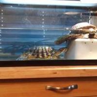Online garage sale of Garage Sale Showcase Member zqdianaclark, featuring used items for sale in Chautauqua County NY
