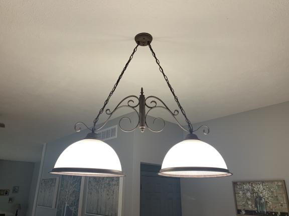 Hanging Light for sale in St. Joseph MI
