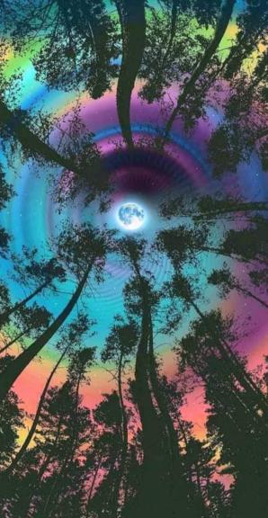 Garage sale in Tyler, Texas of Garage Sale Showcase Member Miranda Jones. 2 items currently listed for sale.